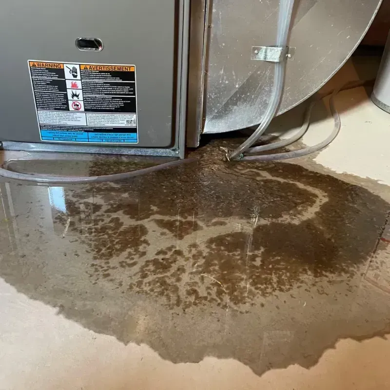 Appliance Leak Cleanup in Canby, OR